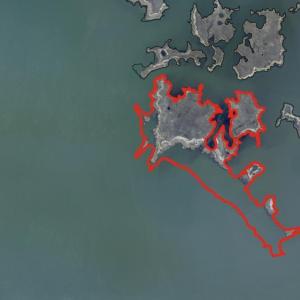 Photo #1 of Island, Wanchese, NC 45.0 acres