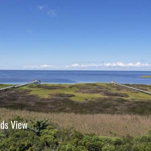 Photo #11 of 26120 Turtle Court, Salvo, NC 0.5 acres