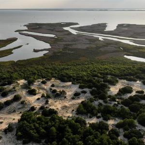 Photo #13 of 1602 Hidden Dune Lane, Corolla, NC 2.8 acres