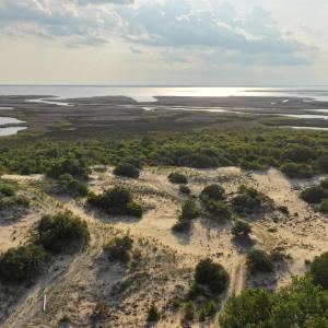 Photo #6 of 1602 Hidden Dune Lane, Corolla, NC 2.8 acres