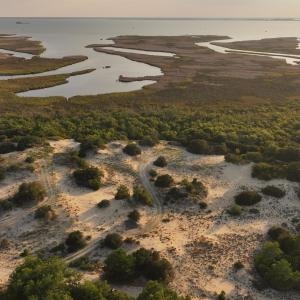 Photo #14 of 1602 Hidden Dune Lane, Corolla, NC 2.8 acres