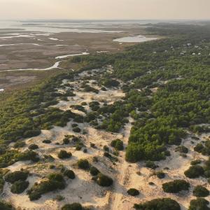 Photo #12 of 1602 Hidden Dune Lane, Corolla, NC 2.8 acres