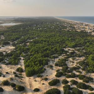 Photo #11 of 1602 Hidden Dune Lane, Corolla, NC 2.8 acres