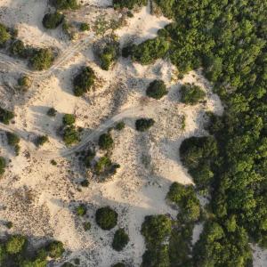 Photo #4 of 1602 Hidden Dune Lane, Corolla, NC 2.8 acres