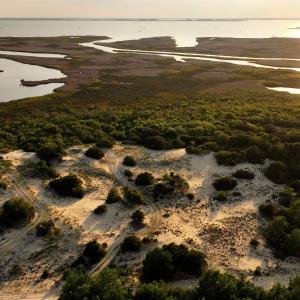 Photo #15 of 1602 Hidden Dune Lane, Corolla, NC 2.8 acres