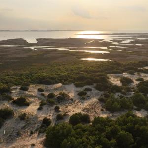 Photo #16 of 1602 Hidden Dune Lane, Corolla, NC 2.8 acres