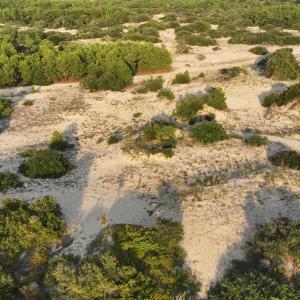 Photo #5 of 1602 Hidden Dune Lane, Corolla, NC 2.8 acres