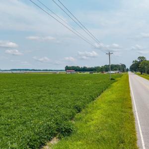 Photo #12 of Foreman Bundy Road, Elizabeth City, NC