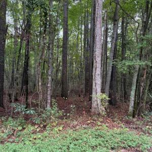 Photo #1 of Lots 12 & 13 North River Landing Road, Grandy, NC