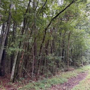 Photo #1 of Lots #9 & #14 North River Landing Road, Grandy, NC 2.6 acres