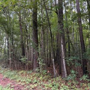 Photo #2 of Lots #9 & #14 North River Landing Road, Grandy, NC 2.6 acres