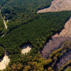 Photo #32 of Lot 2 East Ridge Road, Moyock, NC