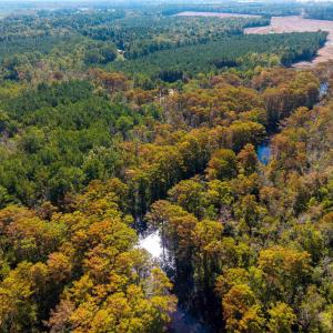 Photo #39 of Lot 2 East Ridge Road, Moyock, NC