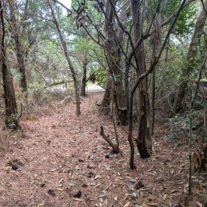 Photo #4 of Lot# 12 Sarah Ellen Drive, Ocracoke, NC 0.3 acres