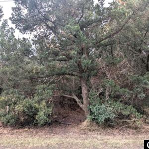 Photo #8 of Lot# 12 Sarah Ellen Drive, Ocracoke, NC 0.3 acres