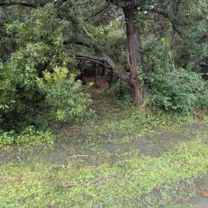 Photo #3 of Lot# 12 Sarah Ellen Drive, Ocracoke, NC 0.3 acres