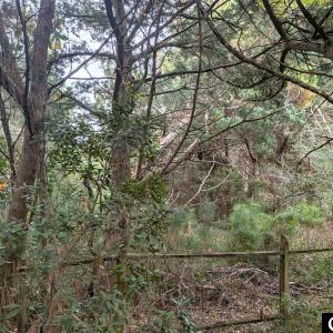 Photo #2 of Lot# 12 Sarah Ellen Drive, Ocracoke, NC 0.3 acres