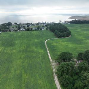 Photo #3 of 133 Blue Heron Lane, Knotts Island, NC 51.0 acres