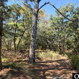 Photo #9 of 78 Beach Road, Ocracoke, NC 0.4 acres