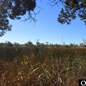 Photo #10 of 78 Beach Road, Ocracoke, NC 0.4 acres