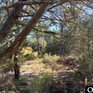 Photo #8 of 78 Beach Road, Ocracoke, NC 0.4 acres
