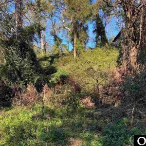 Large Lot in an 'X' flood zone!