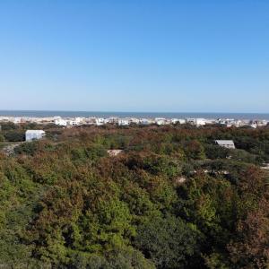 ocean view