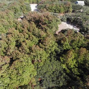 Photo #2 of 2017 Ridge Road, Corolla, NC 0.4 acres