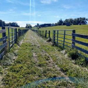Lanes between pastures