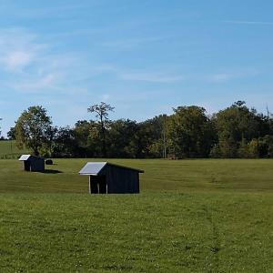 Pastures and run-in shelters