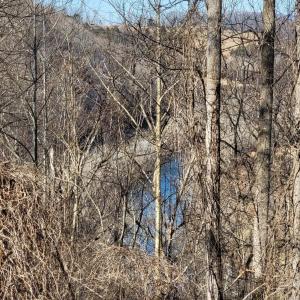 2-Blk 4, Lots 7-9 River view