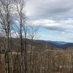 Mountain Views DR#29