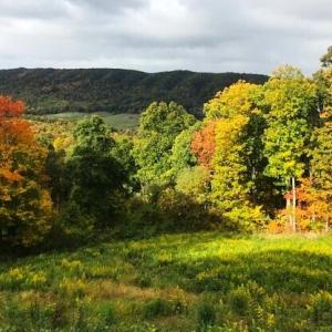 4.61 Acres DR #29