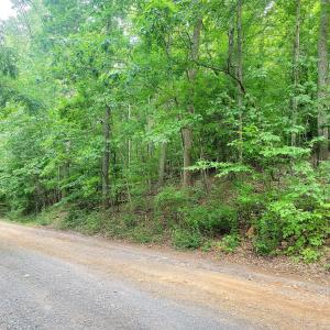 Poplar Place Lots