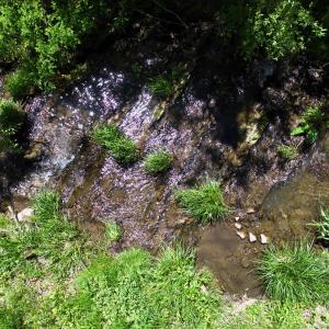 Creek