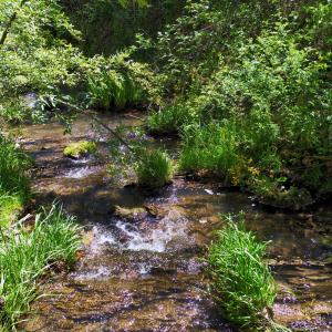 Creek