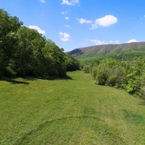 Pasture area