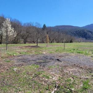 0.70 Lot 3 Serenity Alleghany CO MS -05