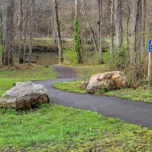 0.71 Lot 2 Serenity Alleghany CO MS -09