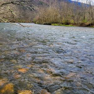 1.14 Lot 29 Serenity Alleghany CO MS -07