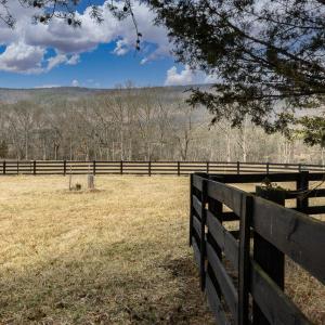 Pasture