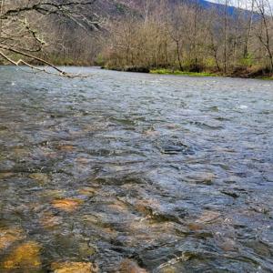 0.70 ac Lot  15 Alleghany Co MS-06