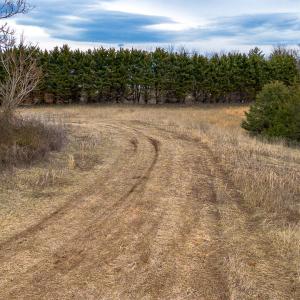 MLS Lot 8 Buckland-5