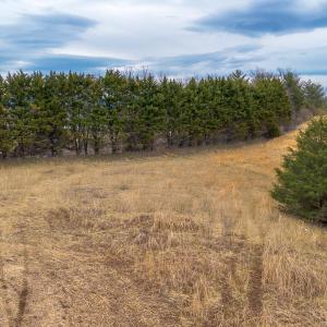 MLS Lot 8 Buckland-7