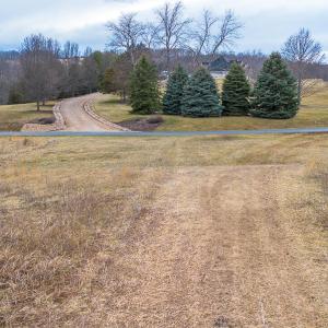 MLS Lot 8 Buckland-8