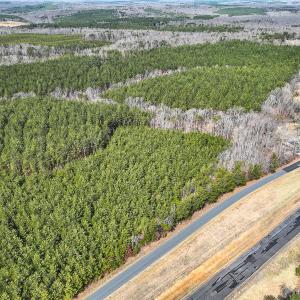 58.752 acres in Buckingham County VA