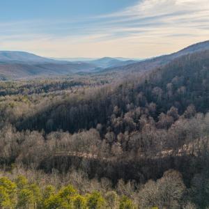 DJI_20250304161013_0002_D