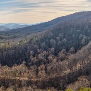 DJI_20250304161042_0003_D