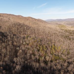 DJI_20250304161142_0005_D