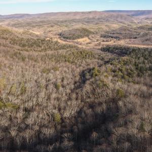 DJI_20250304161202_0006_D